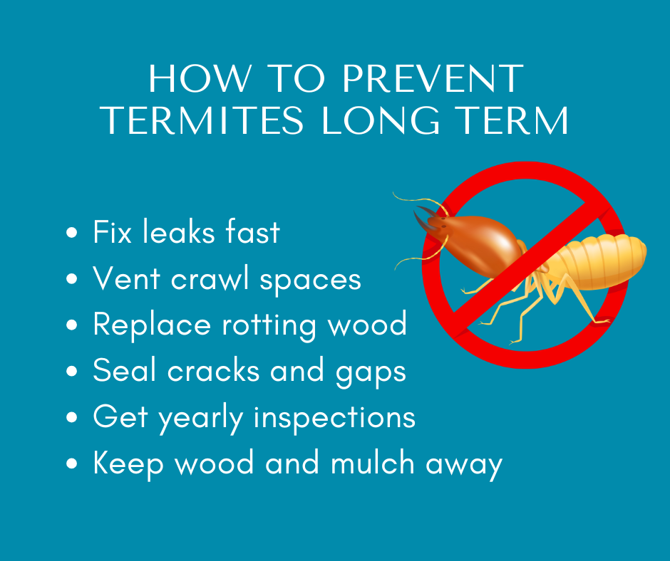How to Prevent Termites Long Term