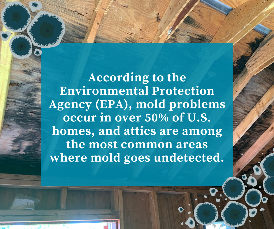 stat on mold in attic