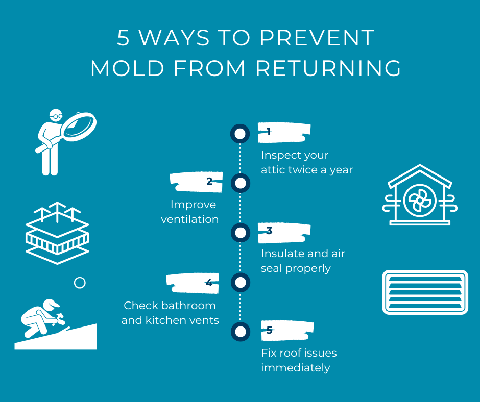 5 Ways to Prevent Mold from Returning