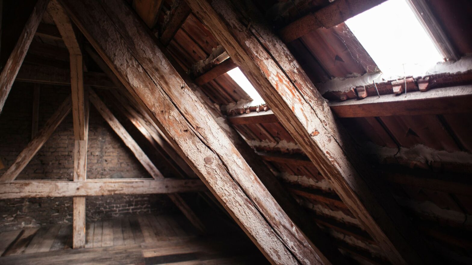 Attic Mold Remediation