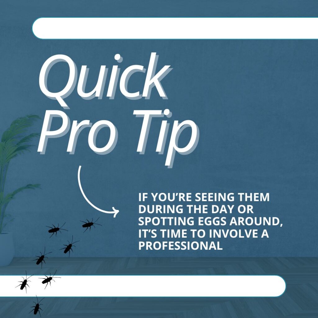call a pro if you can't get rid of palmetto bugs naturally
