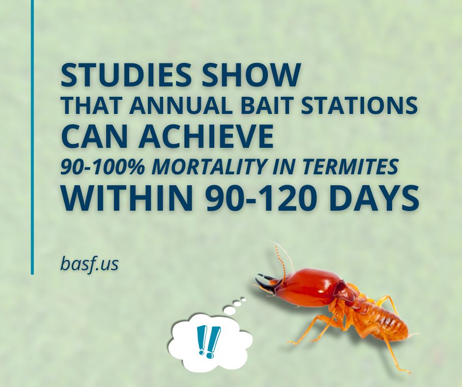 how termite bait stations perform