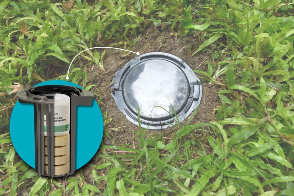 termite bait station