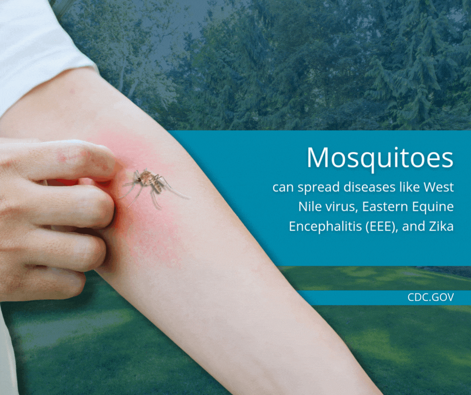 why mosquito control matters