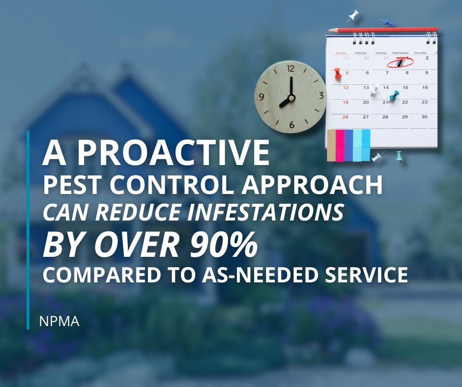 benefits of a quarterly schedule for pest services