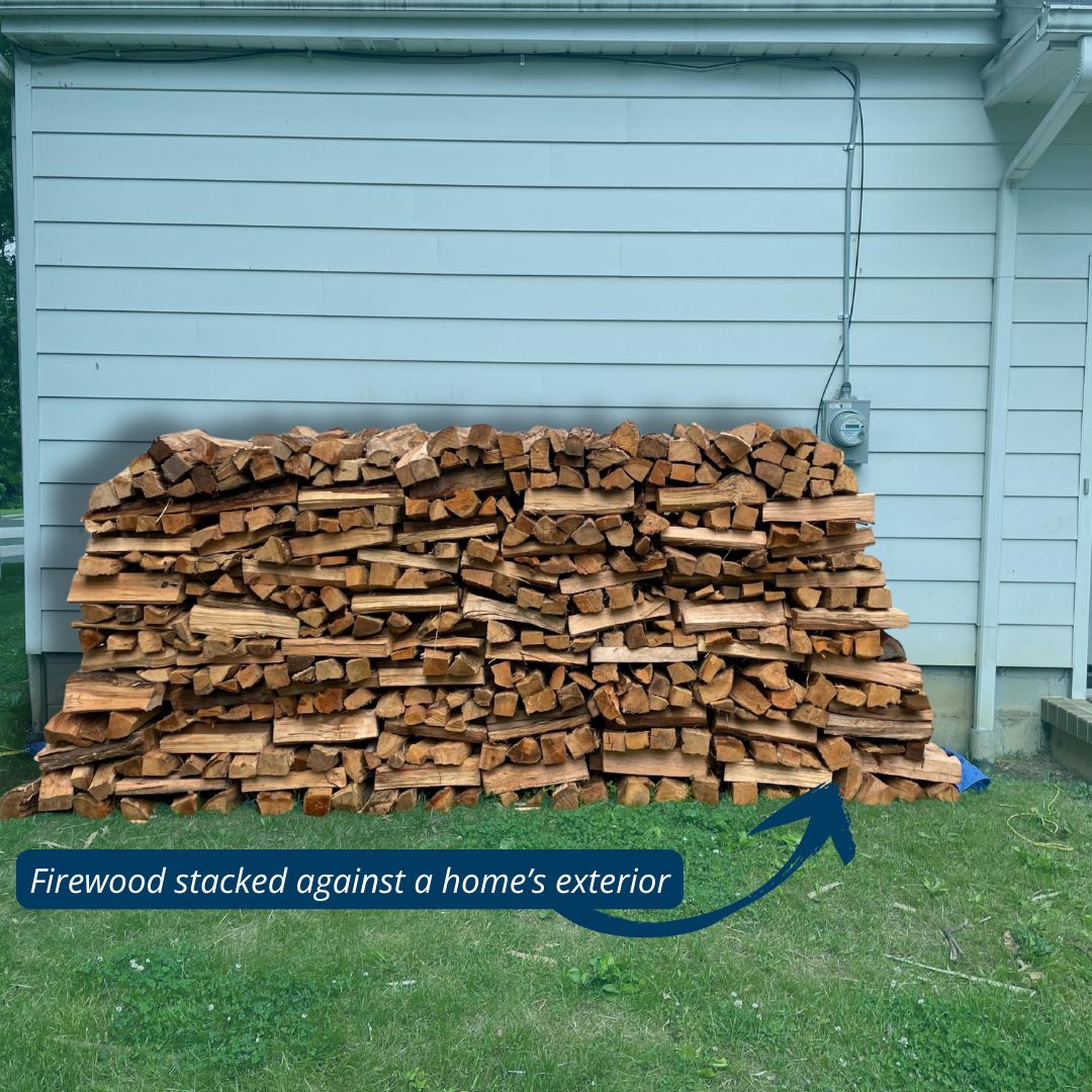 wood piles and other outdoor conditions can attract pests