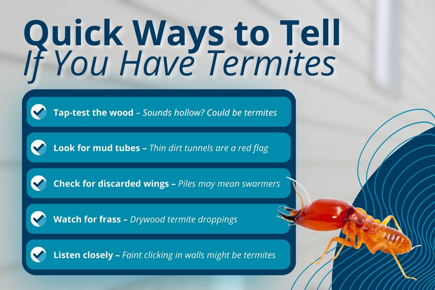 signs of termites in a house