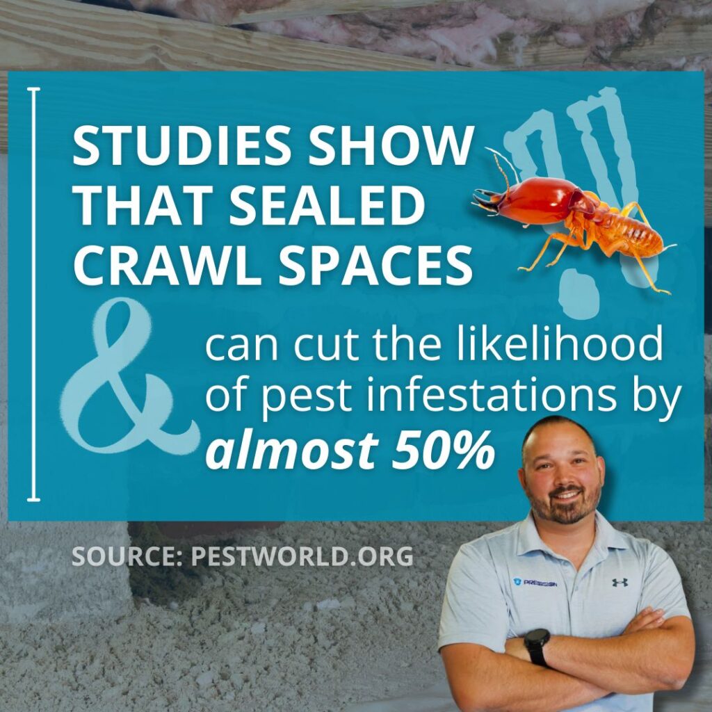 professional termite control and crawl space encapsulation