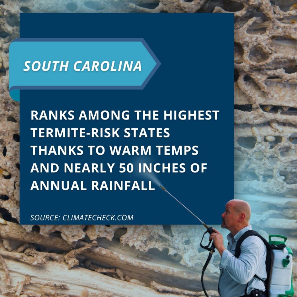 professional termite control need SC