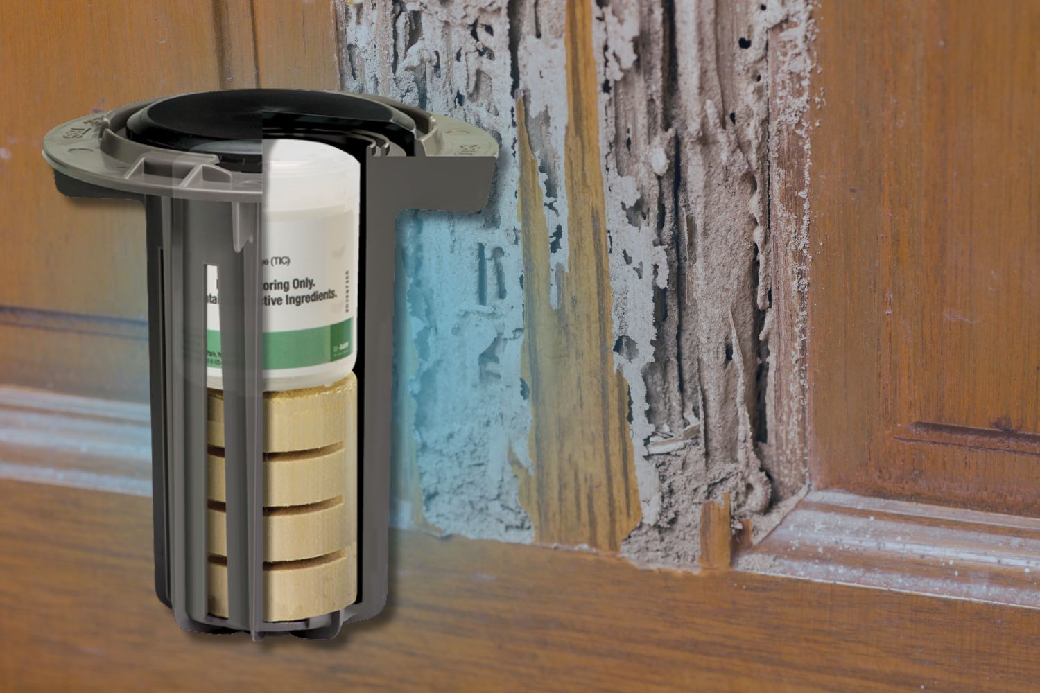 professional termite control